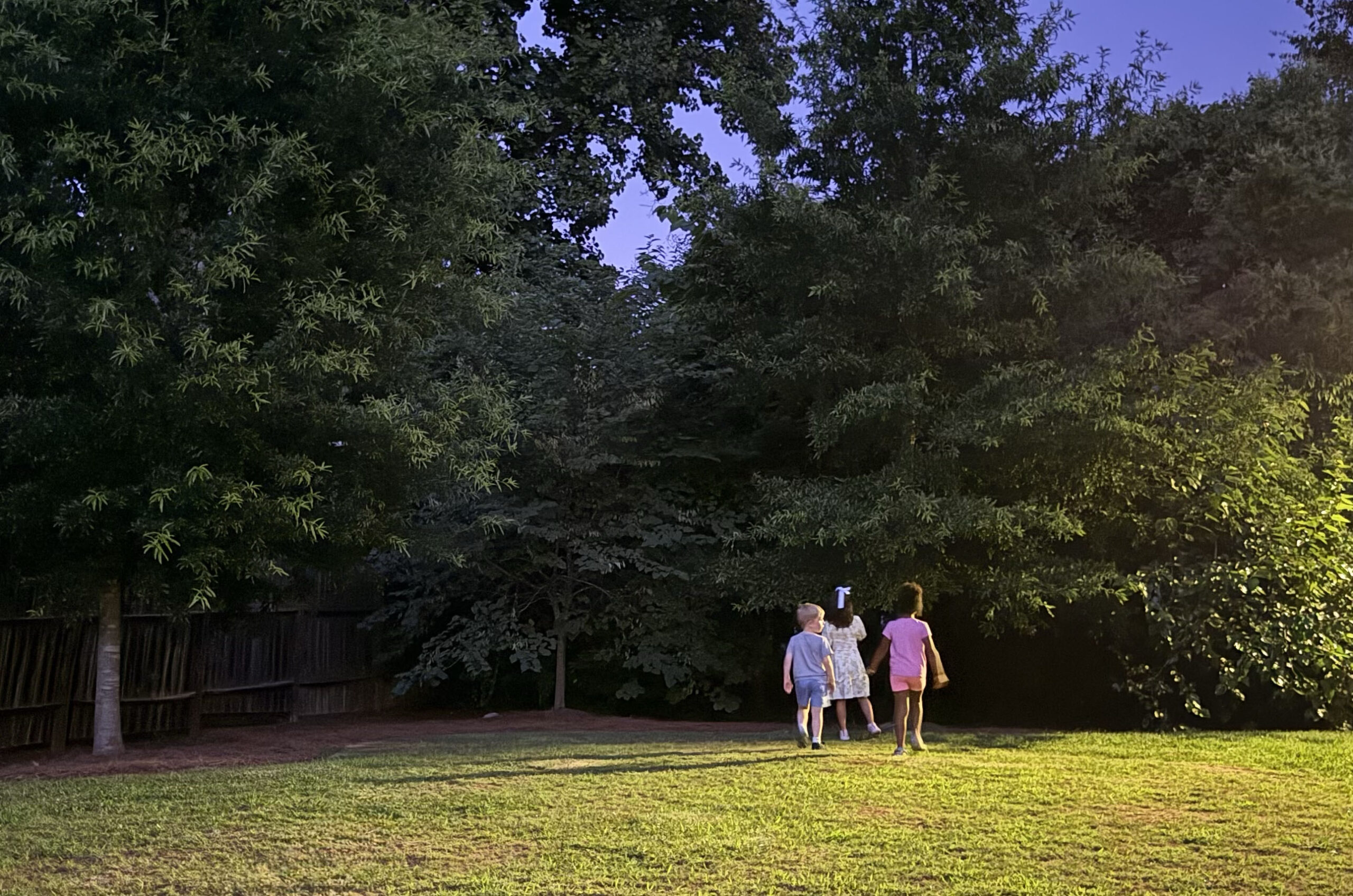 Kids looking into the trees for lightning bugs in Charlotte, 2025