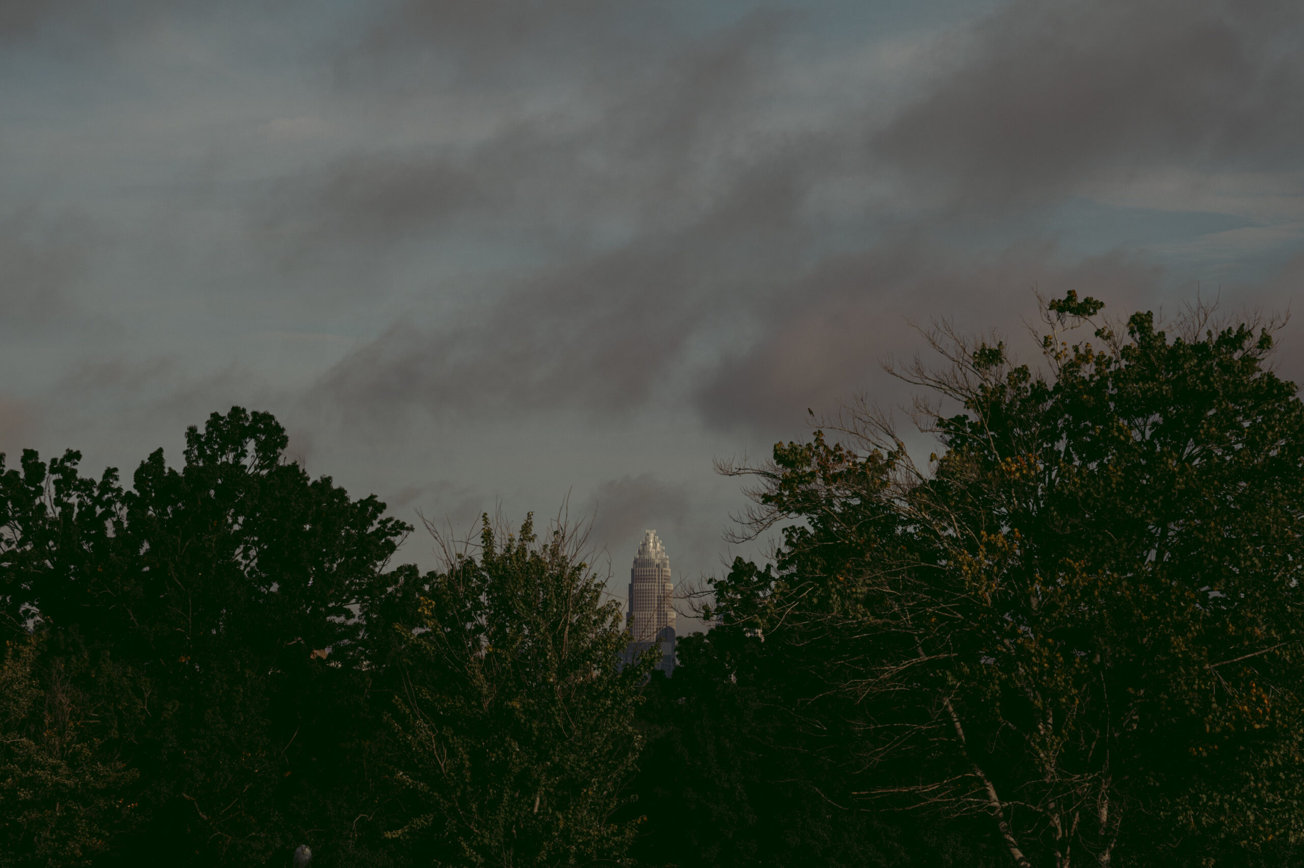 Charlotte skyline, mostly covered in trees, with a pink and cloudy sky overhead