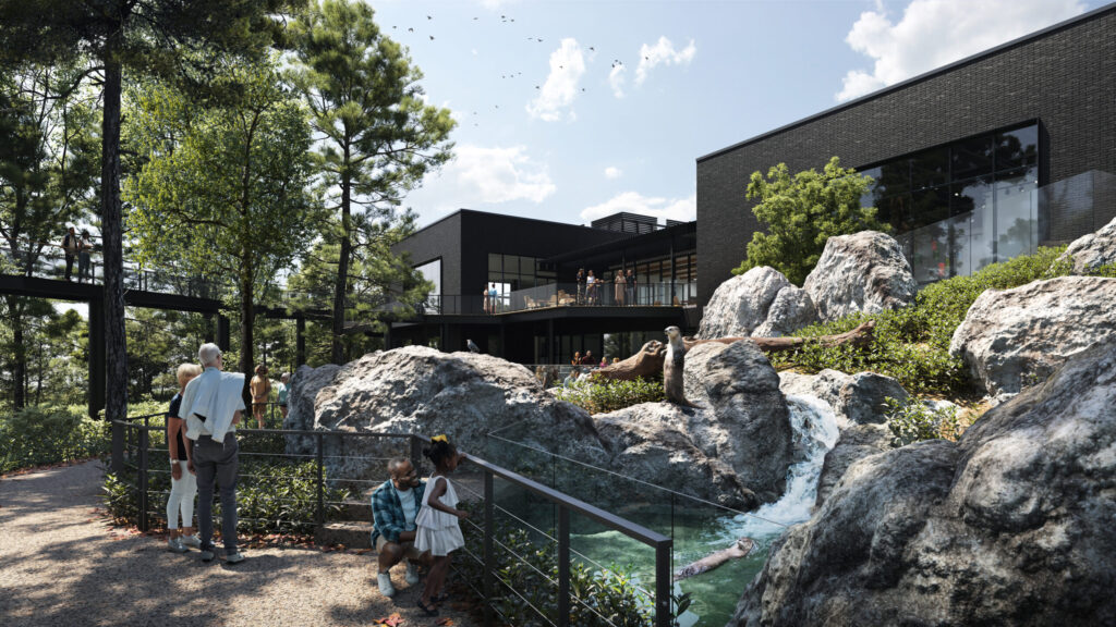 Rendering of the otter habitat at the new Charlotte Nature Museum