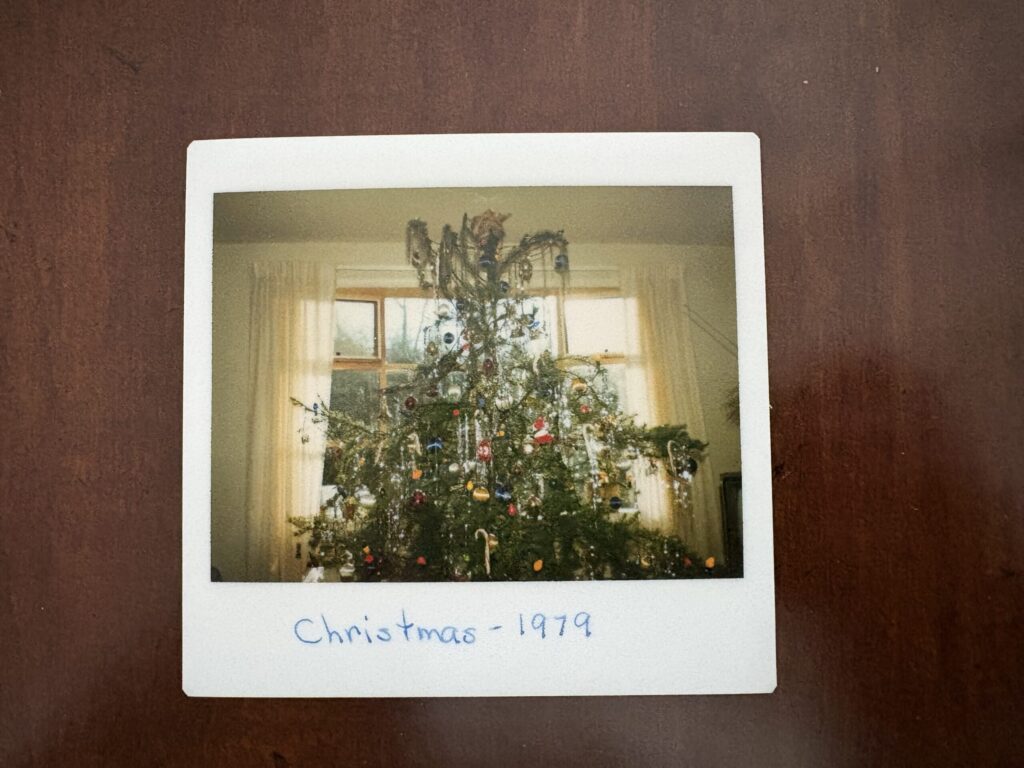 The Ugly Trees We Grow Into