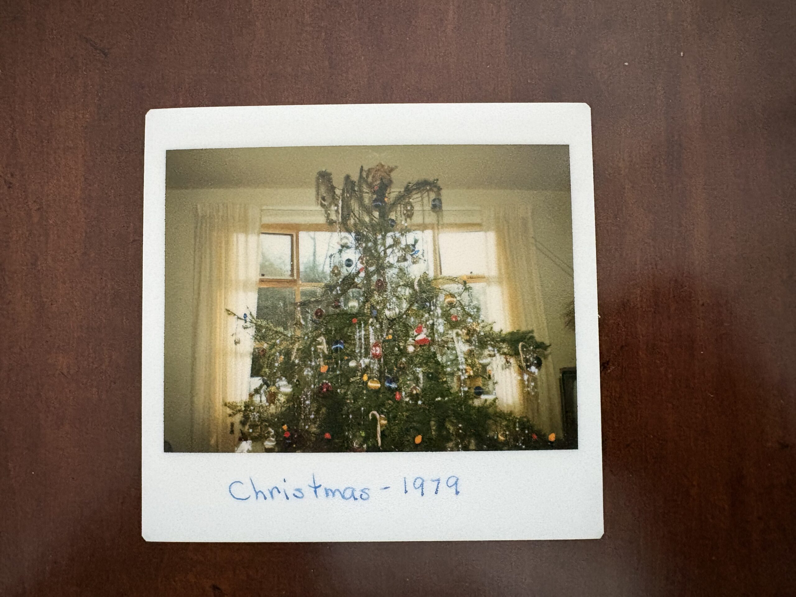 Graff family christmas tree